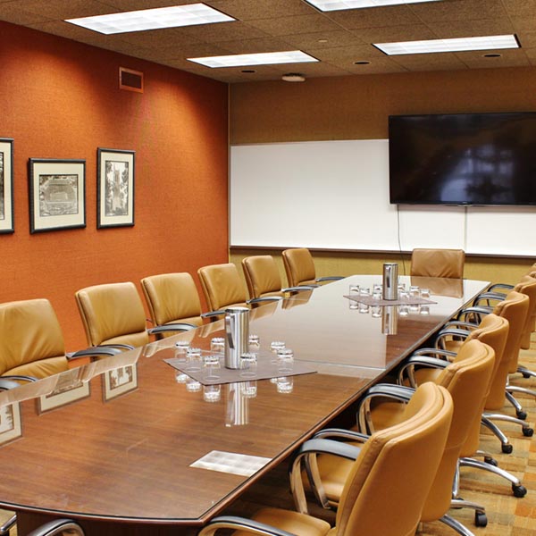 Vista Room - meeting setup